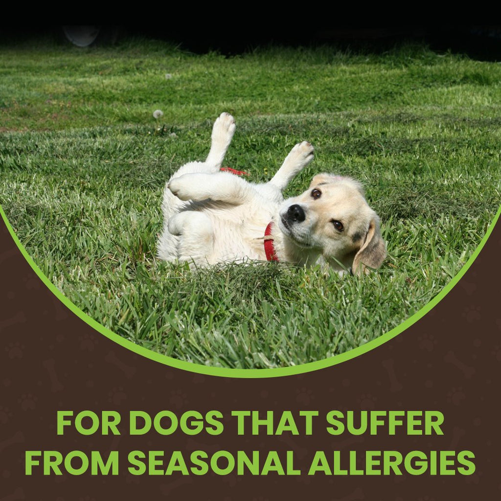 ALL-CLEAR DOG ALLERGY SUPPLEMENT
