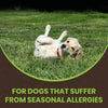 ALL-CLEAR DOG ALLERGY SUPPLEMENT