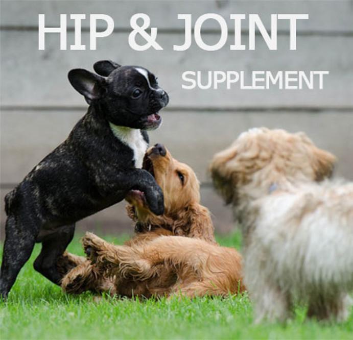 Dog supplement